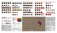 Farmavita Life Color Plus Big Color Chart 2